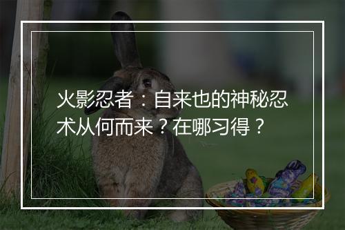 火影忍者：自来也的神秘忍术从何而来？在哪习得？