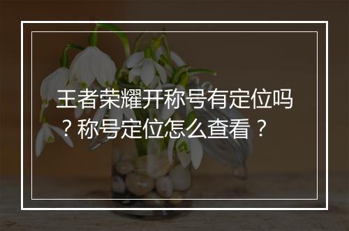 王者荣耀开称号有定位吗？称号定位怎么查看？