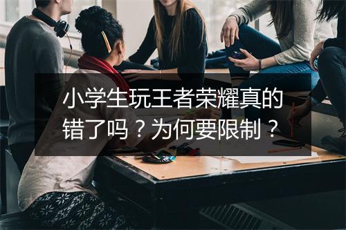 小学生玩王者荣耀真的错了吗?为何要限制?