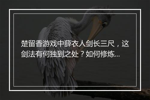 楚留香游戏中薛衣人剑长三尺，这剑法有何独到之处？如何修炼？