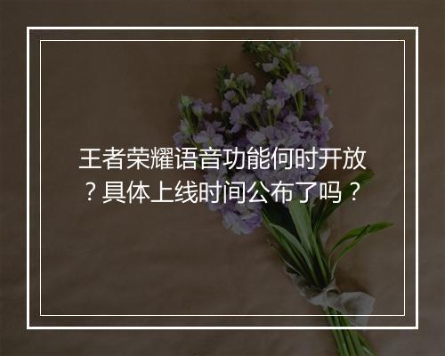 王者荣耀语音功能何时开放？具体上线时间公布了吗？
