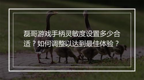 磊哥游戏手柄灵敏度设置多少合适？如何调整以达到最佳体验？