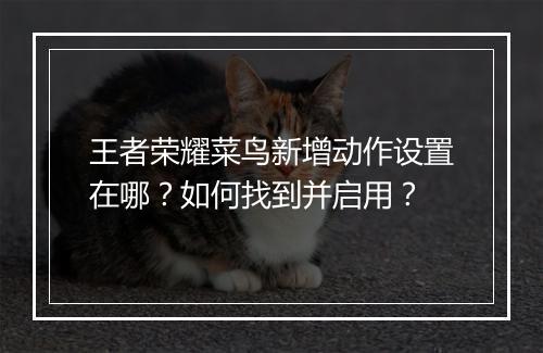 王者荣耀菜鸟新增动作设置在哪？如何找到并启用？