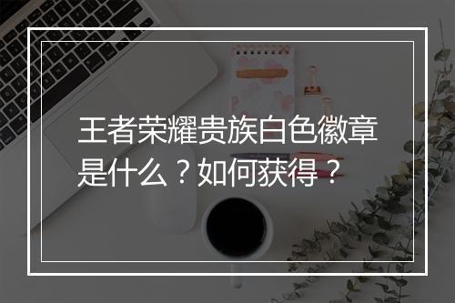 王者荣耀贵族白色徽章是什么？如何获得？