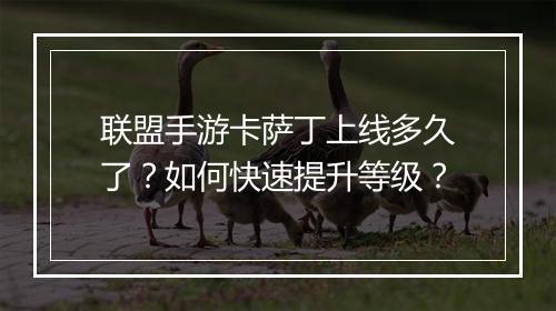 联盟手游卡萨丁上线多久了？如何快速提升等级？
