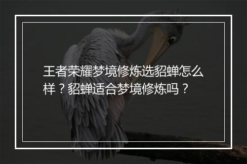 王者荣耀梦境修炼选貂蝉怎么样？貂蝉适合梦境修炼吗？