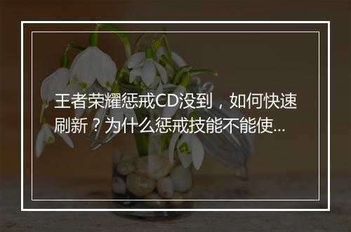 王者荣耀惩戒CD没到，如何快速刷新？为什么惩戒技能不能使用？