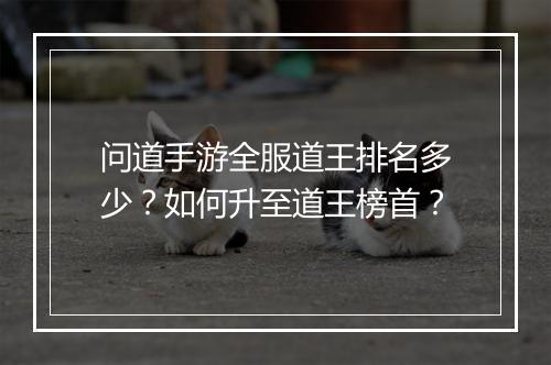 问道手游全服道王排名多少？如何升至道王榜首？