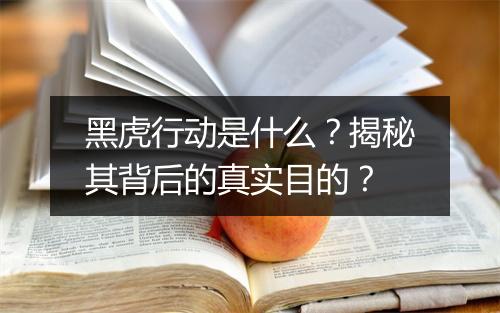 黑虎行动是什么？揭秘其背后的真实目的？