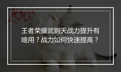 王者荣耀武则天战力提升有啥用？战力如何快速提高？