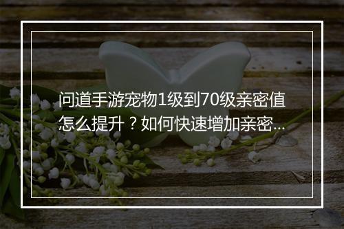问道手游宠物1级到70级亲密值怎么提升？如何快速增加亲密度？