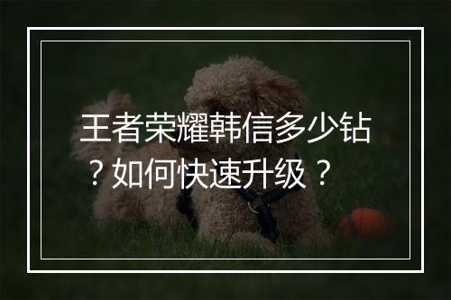 王者荣耀韩信多少钻？如何快速升级？