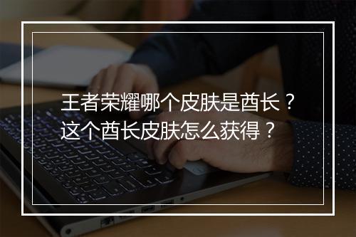 王者荣耀哪个皮肤是酋长？这个酋长皮肤怎么获得？