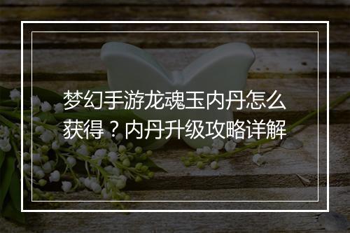 梦幻手游龙魂玉内丹怎么获得？内丹升级攻略详解