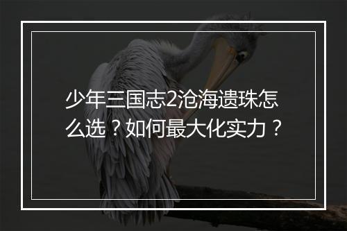 少年三国志2沧海遗珠怎么选？如何最大化实力？