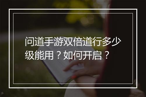 问道手游双倍道行多少级能用？如何开启？