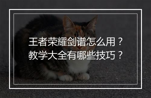 王者荣耀剑谱怎么用？教学大全有哪些技巧？