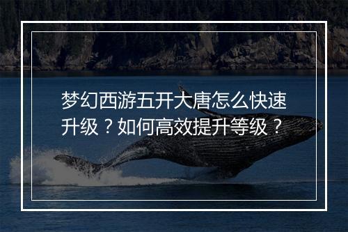梦幻西游五开大唐怎么快速升级？如何高效提升等级？
