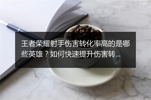 王者荣耀射手伤害转化率高的是哪些英雄？如何快速提升伤害转化率？