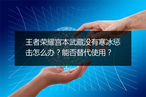 王者荣耀宫本武藏没有寒冰惩击怎么办？能否替代使用？