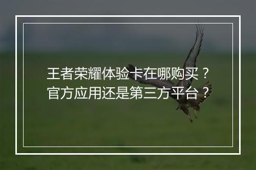 王者荣耀体验卡在哪购买？官方应用还是第三方平台？