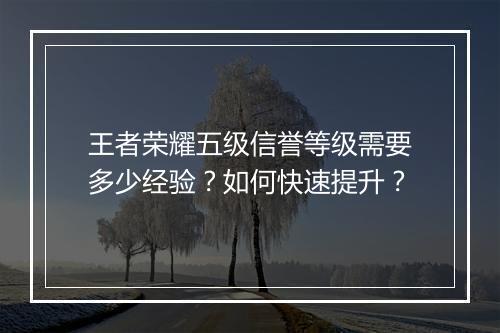 王者荣耀五级信誉等级需要多少经验？如何快速提升？