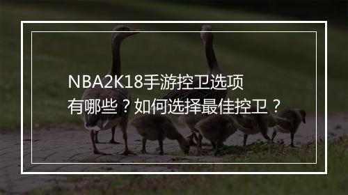 NBA2K18手游控卫选项有哪些？如何选择最佳控卫？
