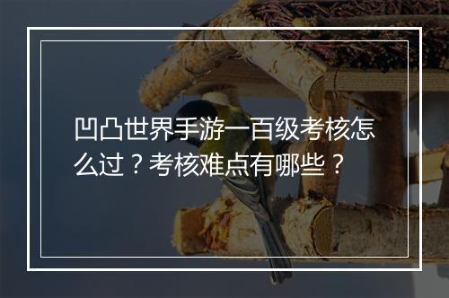 凹凸世界手游一百级考核怎么过？考核难点有哪些？