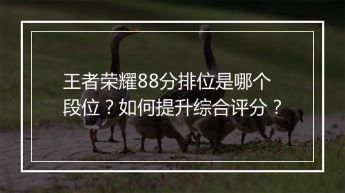 王者荣耀88分排位是哪个段位？如何提升综合评分？