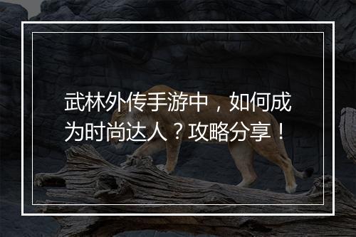 武林外传手游中，如何成为时尚达人？攻略分享！