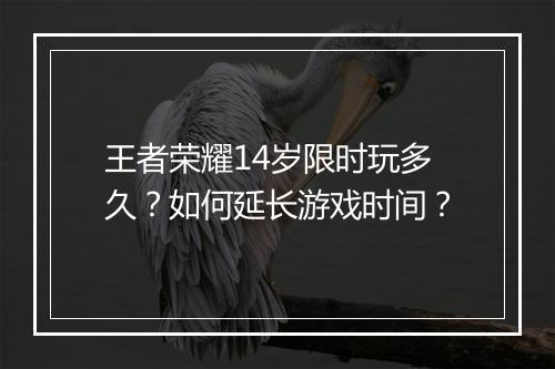 王者荣耀14岁限时玩多久？如何延长游戏时间？
