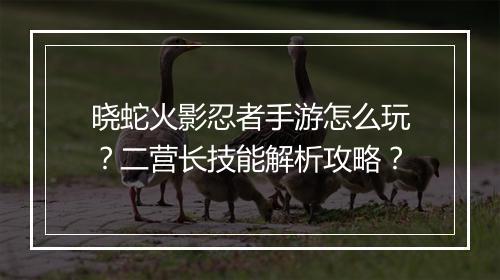 晓蛇火影忍者手游怎么玩？二营长技能解析攻略？