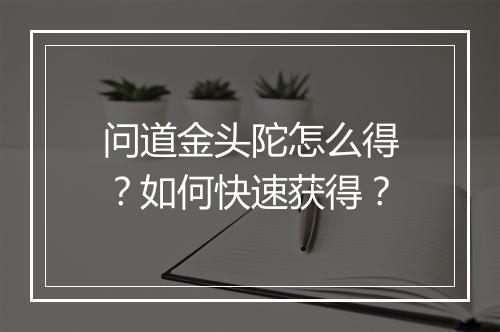 问道金头陀怎么得？如何快速获得？