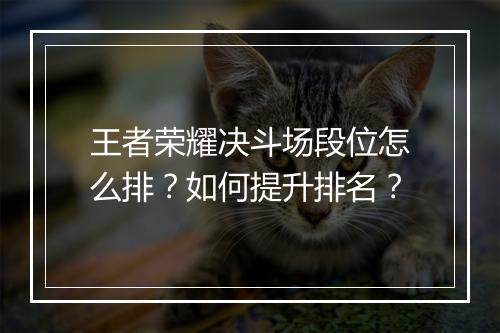 王者荣耀决斗场段位怎么排？如何提升排名？