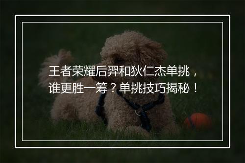 王者荣耀后羿和狄仁杰单挑，谁更胜一筹？单挑技巧揭秘！
