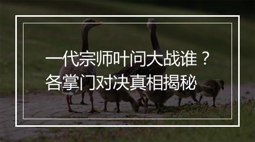 一代宗师叶问大战谁？各掌门对决真相揭秘