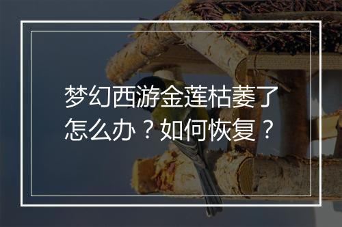 梦幻西游金莲枯萎了怎么办？如何恢复？