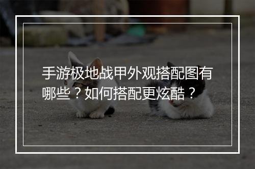 手游极地战甲外观搭配图有哪些？如何搭配更炫酷？