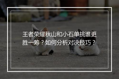 王者荣耀秋山和小石单挑谁更胜一筹？如何分析对决技巧？