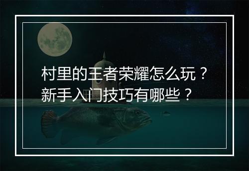 村里的王者荣耀怎么玩？新手入门技巧有哪些？