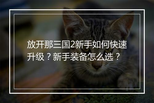 放开那三国2新手如何快速升级？新手装备怎么选？