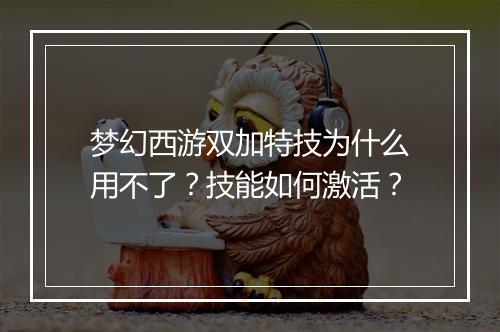 梦幻西游双加特技为什么用不了？技能如何激活？