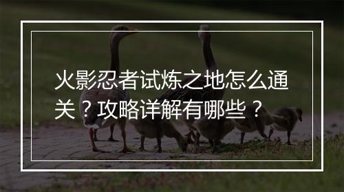 火影忍者试炼之地怎么通关？攻略详解有哪些？
