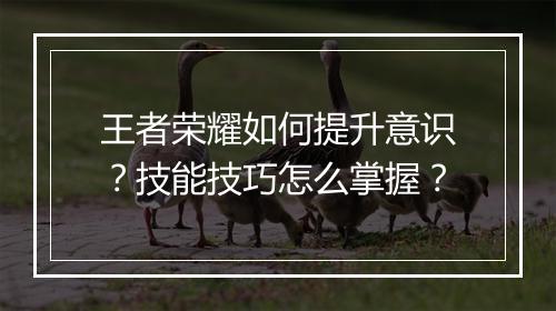 王者荣耀如何提升意识？技能技巧怎么掌握？