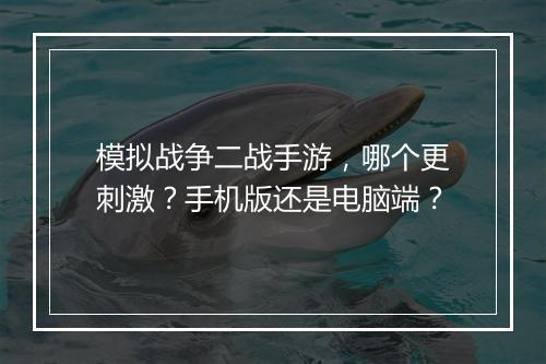 模拟战争二战手游，哪个更刺激？手机版还是电脑端？