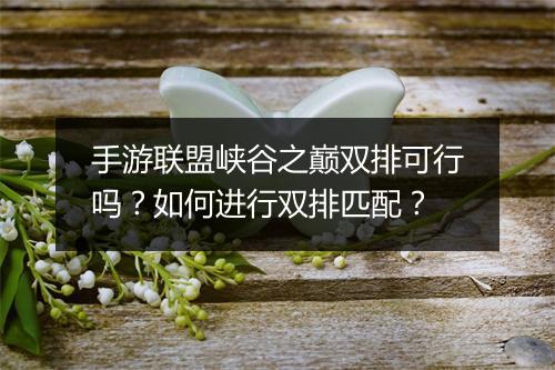 手游联盟峡谷之巅双排可行吗？如何进行双排匹配？
