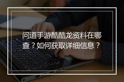 问道手游酷酷龙资料在哪查？如何获取详细信息？