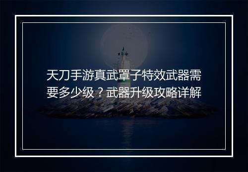 天刀手游真武罩子特效武器需要多少级?武器升级攻略详解