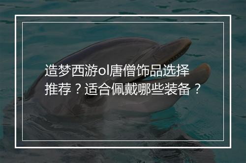 造梦西游ol唐僧饰品选择推荐?适合佩戴哪些装备?