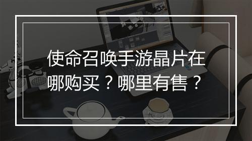 使命召唤手游晶片在哪购买?哪里有售?